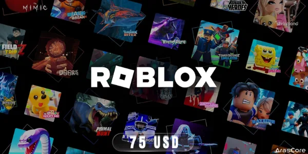 Roblox 75 USD / USA