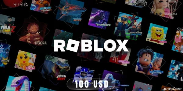 Roblox 100 USD / USA