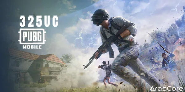 PUBG Mobile 325 Epin UC