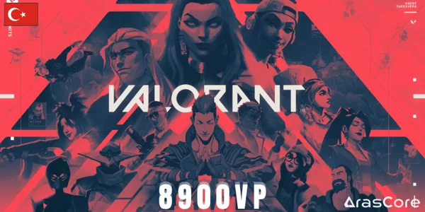 Valorant 8900 VP